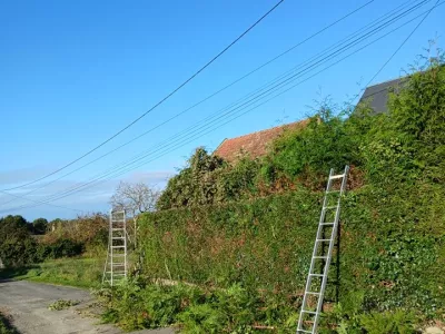 Entretien d’espaces vert